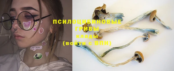 трава Абаза