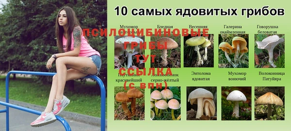 COCAINE Ростов